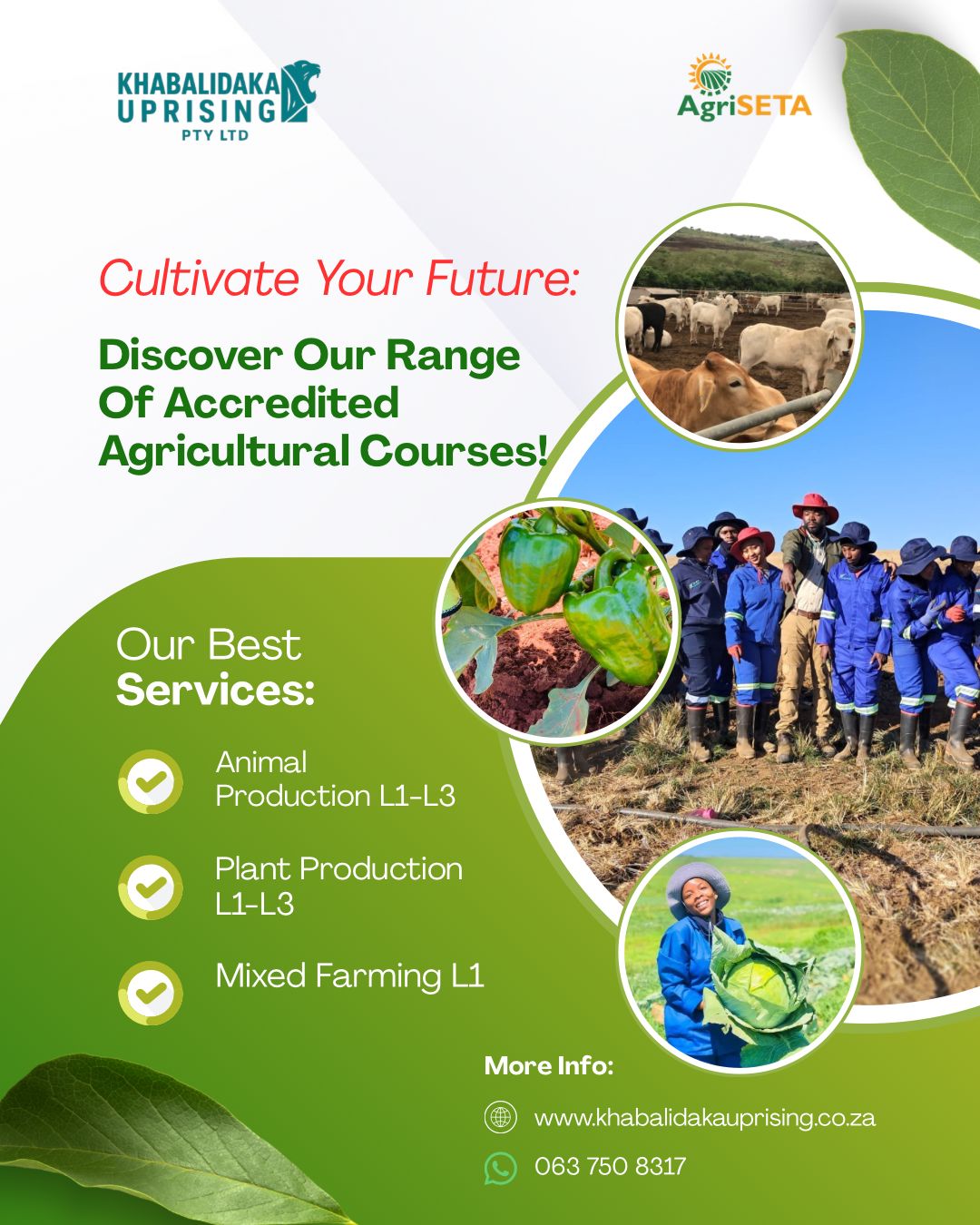 Agricultural Courses